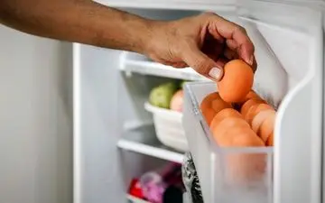 بدترین جای یخچال برای نگهداری تخم مرغ 