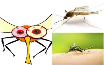 میدونی پشه‌ها کجا میخوابن؟ بیا تا بهت بگم