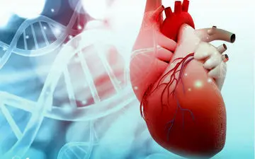 رازهای طب ایرانی برای داشتن قلبی جوان و نیرومند