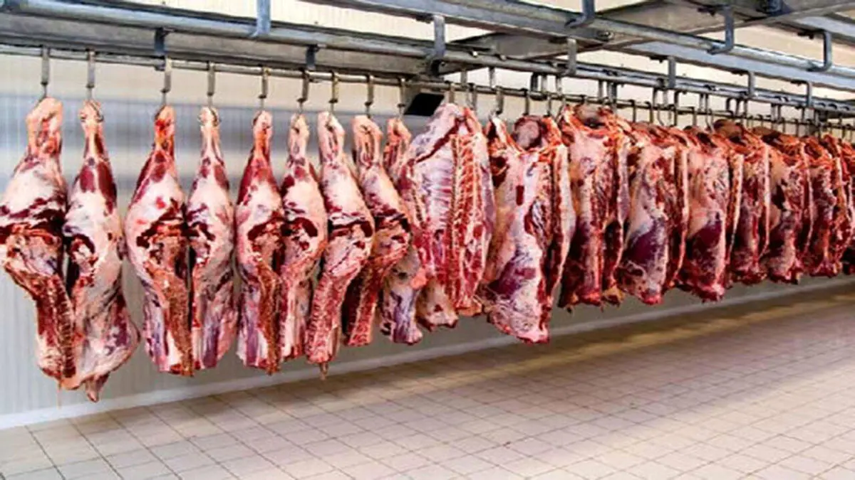 آخرین آمار از عرضه گوشت قرمز به بازار 
