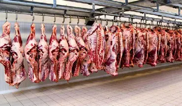 آخرین آمار از عرضه گوشت قرمز به بازار 