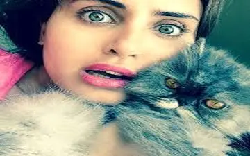  گربه بازی الناز شاکر دوست