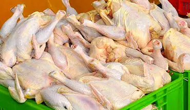 آخرین تحولات بازار مرغ و ماهی/ نرخ مرغ بازهم رنگ باخت