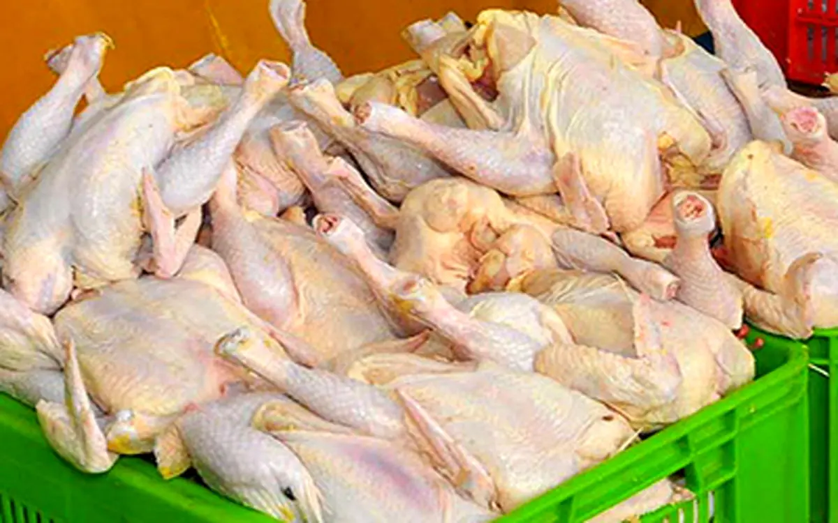 آخرین تحولات بازار مرغ و ماهی/ نرخ مرغ بازهم رنگ باخت