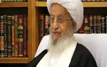 آیت‌الله مکارم: تخلفات کلان ملت را بدبین می‌کند