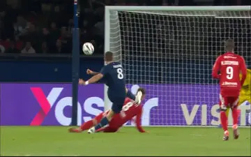 زیباترین گل‌های اروپایی فصل جاری + ویدئو