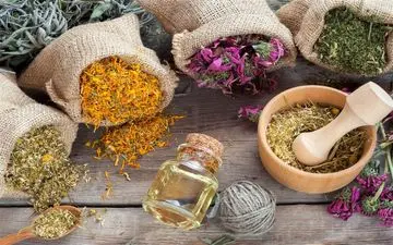 این گیاه درمانگر غلظت خون