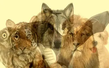 تست شخصیت شناسی | به تصویر دقت کن و بگو در نگاه اول کدوم حیوان رو دیدی؟
