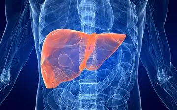 میخوای بدونی کبدت چرب است یا نه؟ بیا تا بهت بگم