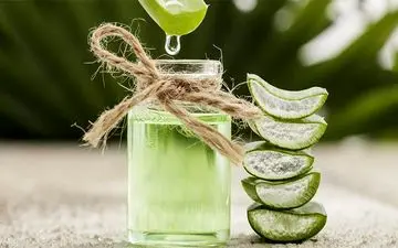 بهترین خوراکی‌ها برای حفظ سلامت روده‌ها