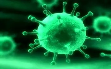 افزایش موارد کووید ۱۹ هیچ سویه جدیدی ایجاد نکرده است