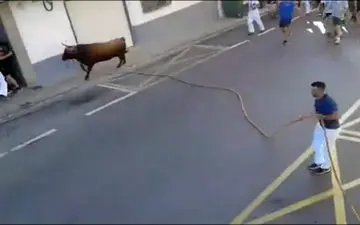 
2کشته درحمله‌ گاو وحشی به شهروندان اسپانیایی+فیلم