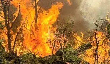 آخرین خبرها از آتش سوزی جنگل‌های آمل 
