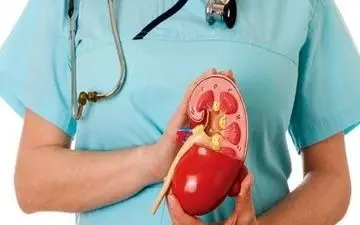  نکاتی برای تشخیص کلیه های سالم