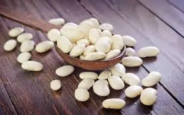 لوبیا سفید| تا حالا با خواص لوبیا سفید آشنا شدی؟