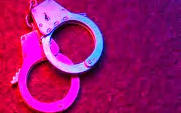  نقشه مادر برای ربودن دختر خردسال 