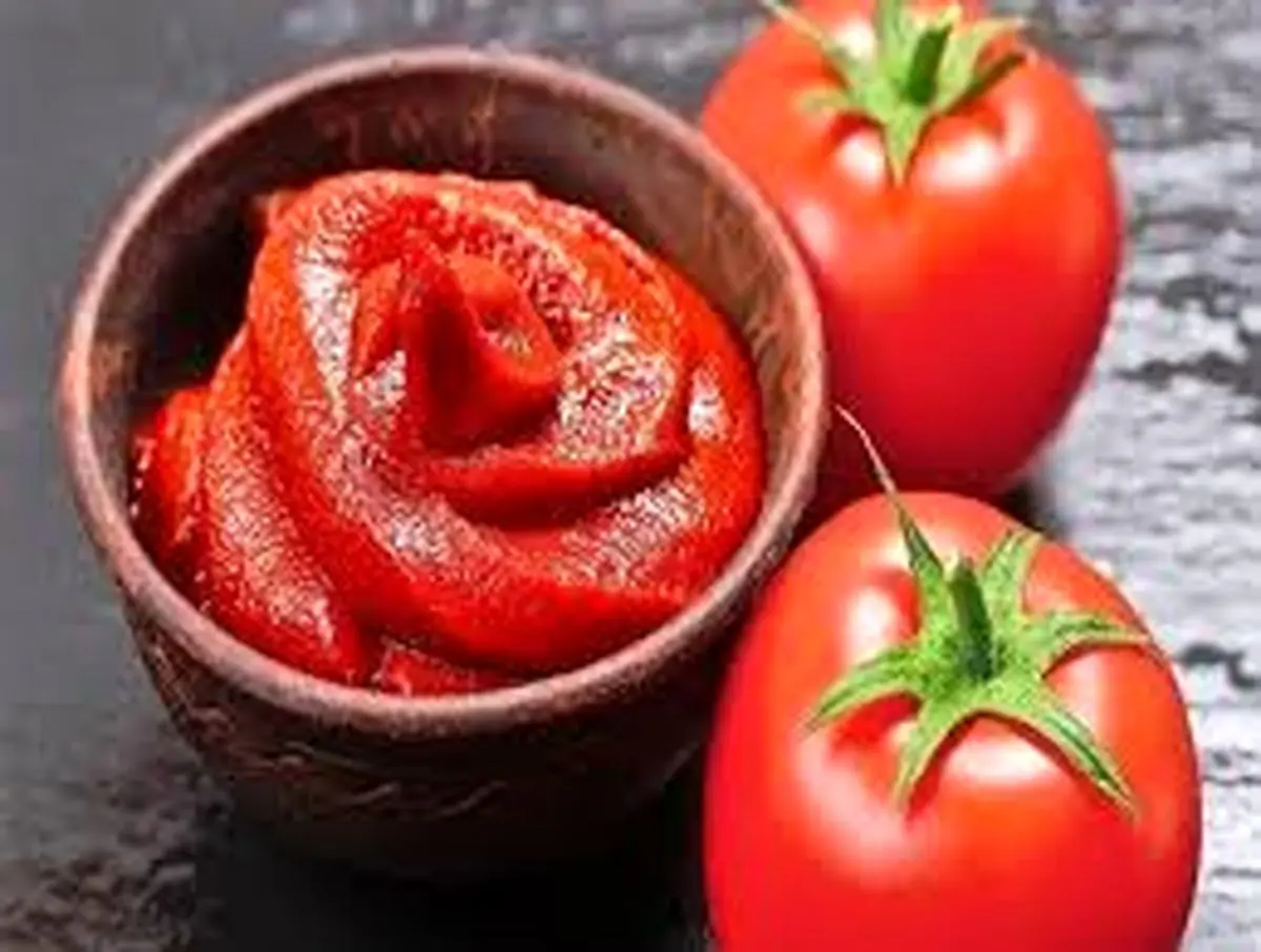 قیمت رب گوجه برای مرداد ۱۴۰۴ اعلام شد / رب گوجه ۸۰۰ گرمی چند؟