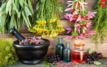 آشنایی با گیاهان دارویی موثر بر صفرا و کبد 
