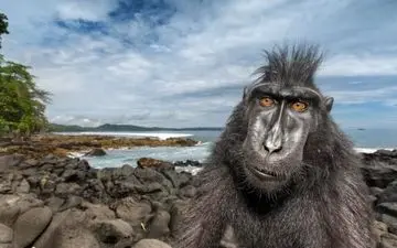  عکس منتخب نشنال جئوگرافیک | گشت و گذار در ساحل