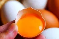 مصرف تخم مرغ خام خطر دارد؟