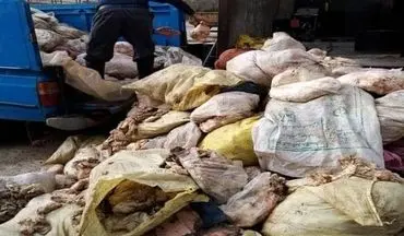 کشف و امحاء بیش از ۶ تن پوست مرغ در شهرستان کرمانشاه