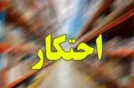 کشف ۴ هزار تن کالای احتکاری