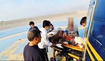 چوپان از حمله خرس سیاه نجات یافت