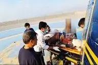 چوپان از حمله خرس سیاه نجات یافت