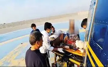 چوپان از حمله خرس سیاه نجات یافت