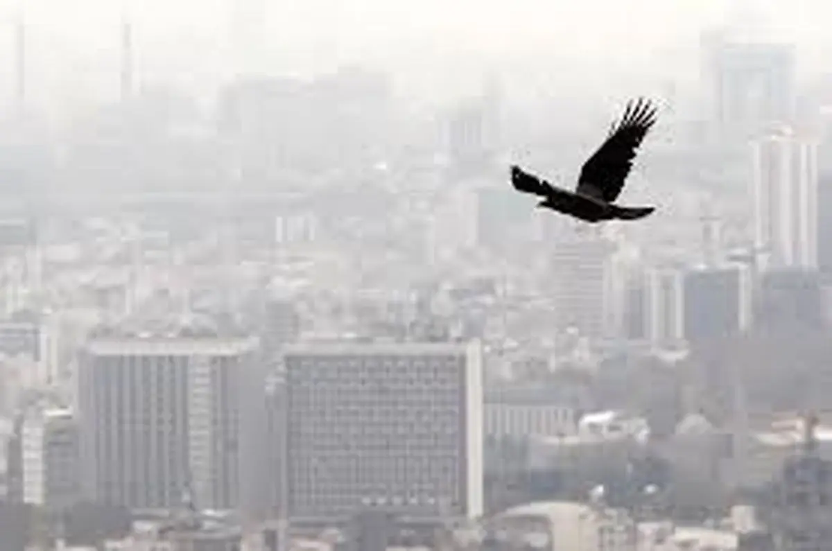  ماندگاری آلودگی هوا در ۵ کلانشهر کشور