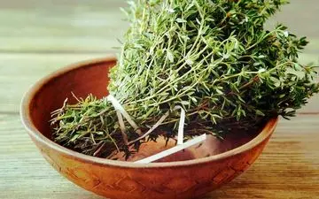 معجزه آویشن در درمان بیماری ها