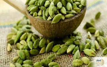 این گیاه با کنترل فشار و سطح کلسترول خون، باعث محافظت از قلب می‌شود
