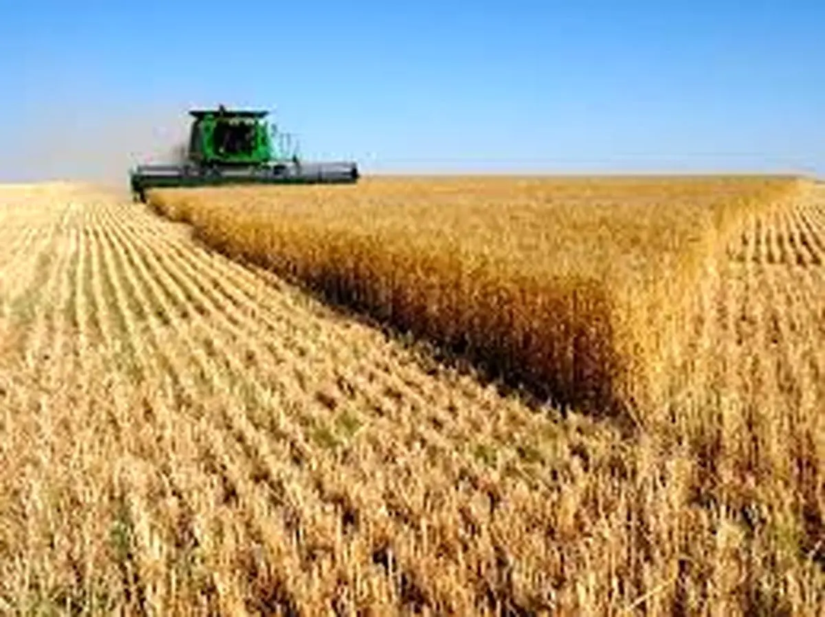 جزییات بخشودگی تسهیلات بانکی بخش کشاورزی اعلام شد 
