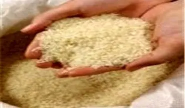ایران ۴۰ هزار تن برنج از تایلند خرید