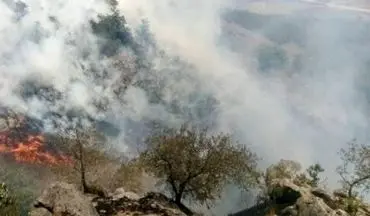 آتش سوزی مراتع جنگلی گیلانغرب مهار شد