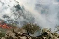 آتش سوزی مراتع جنگلی گیلانغرب مهار شد