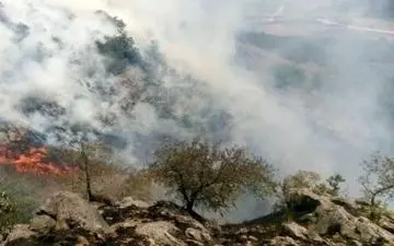 آتش سوزی مراتع جنگلی گیلانغرب مهار شد