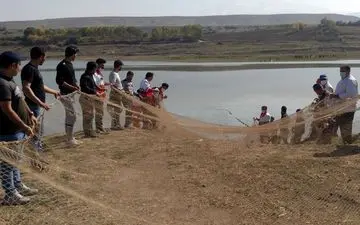 مرگ تلخ/برادری که طاقت نبود خواهرش را نداشت!