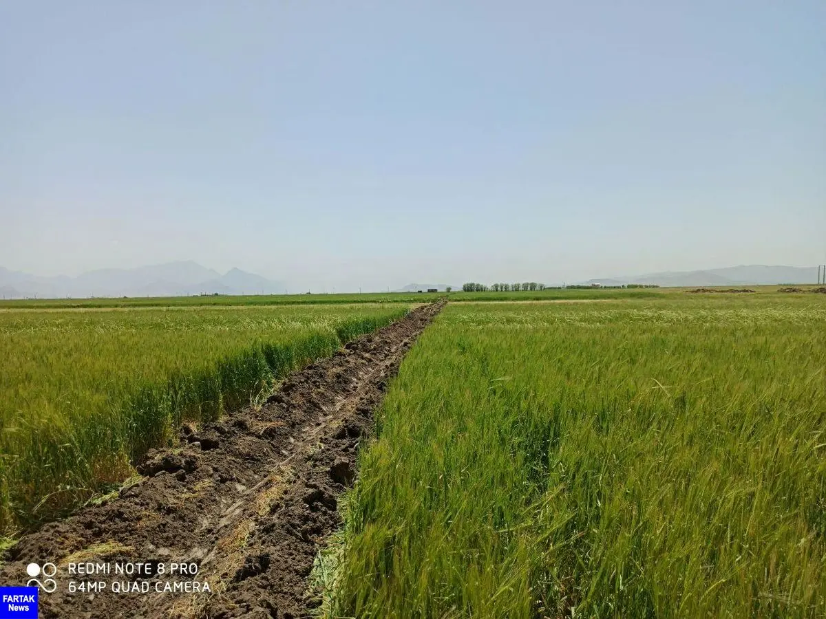 خروج 15000 هزار متر مربع اراضی ملی استان کرمانشاه از ید متصرفین