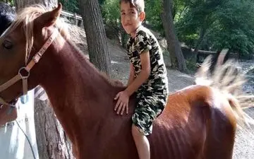 اعضای بدن پسر بچه ۸ ساله قمی اهدا شد