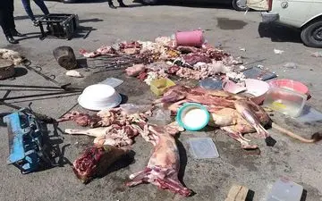 کشف 1800 کیلوگرم فرآورده‌های دامی غیربهداشتی در کرمانشاه