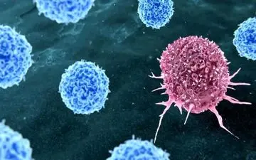 سرطان همیشه تقدیر نیست؛ دو عادتی که شما را به کام بیماری می‌کشاند