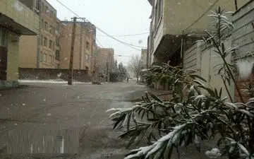 بارش برف و باران از فردا در ایلام