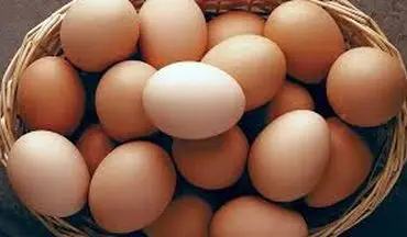 چرا مصرف این ماده غذایی ضروری است؟