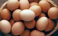 چرا مصرف این ماده غذایی ضروری است؟