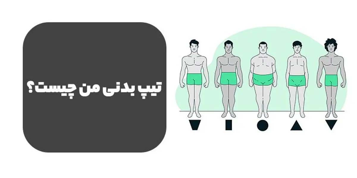 رمزگشایی از راز تناسب اندام: تیپ بدنی من چیست؟