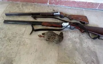 ۳ شکارچی متخلف در بیله سوار دستگیر شدند