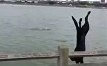 پشتک زدن دیدنی یک سگ در دریا