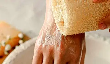 لوفا معجزه‌ای طبیعی برای زیبایی پوست و نجات زمین