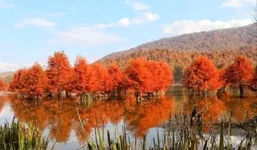 خبری از بارش باران در مازندران نیست